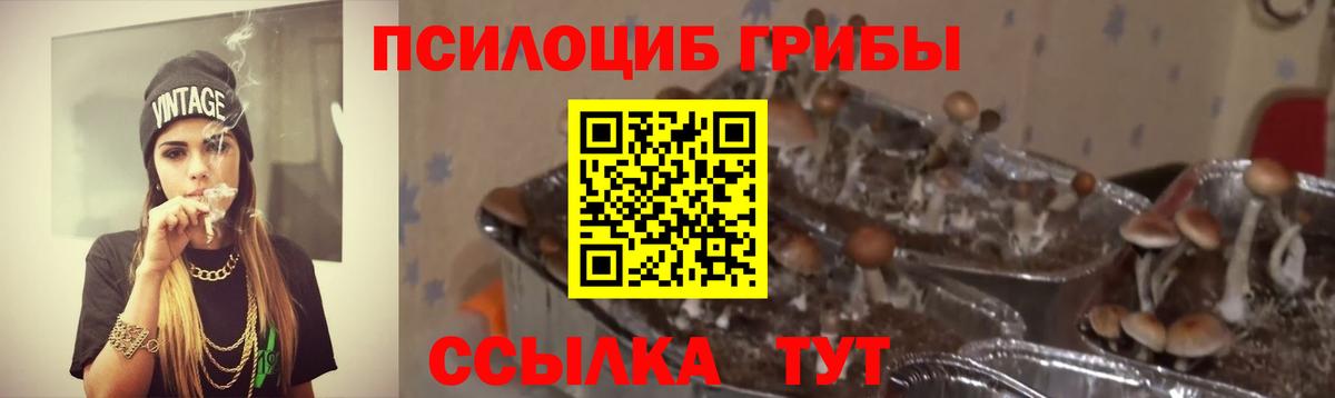 Псилоцибиновые грибы ЛСД Большой Камень
